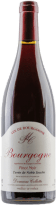 Phillippe Collotte Bourgogne Pinot Noir CuvÃƒÆ’Ã†â€™Ãƒâ€ Ã¢â‚¬â„¢ÃƒÆ’Ã¢â‚¬Å¡Ãƒâ€šÃ‚Â©e de Noble Souche